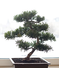 Krebsvorsorge in der Zahnmedizin an der Musikhalle, Hamburg